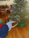 bft-under-tree.jpg (62090 bytes)