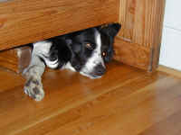 duncan-crate-1.jpg (255256 bytes)