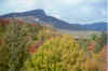 leaves2.jpg (53146 bytes)