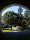 princeton-4.jpg (70920 bytes)