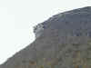 profile.jpg (33501 bytes)